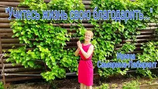 Ирина Самарина-Лабиринт. 