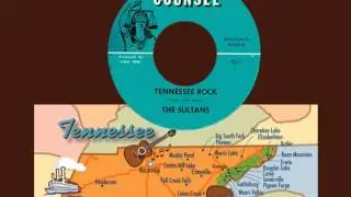 THE SULTANS - Tennessee Rock (1962) HQ Post of a Rare 45