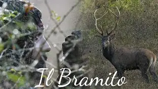 Fotografia Naturalistica - Il Bramito - La stagione dei Cervi