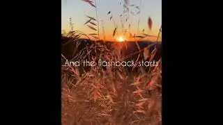 Love Story | Taylor Swift | Lyrics