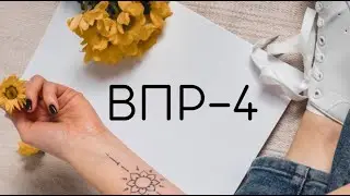 Подготовка к ВПР 4 класса
