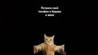 28 августа 2024 г.