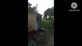 My Beautiful House