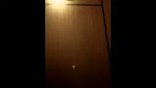20131026_230743.3gp