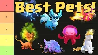 Clash of Clans Pet Tier List!