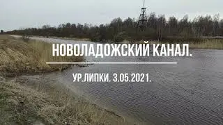 Новоладожский канал 3.05.2021.
