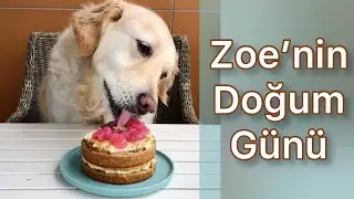 Zoe’nin Doğum Günü Pawty’si 🎂🐾