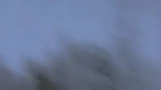 Саша Зайцев Sonic 21 |  Music: Sasha Zaitsev, Camera: Ksenia Gagay, 2015