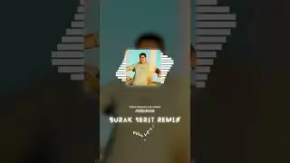 Ayrılmam (Burak Şerit Remix)