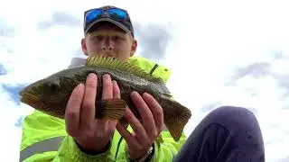 Welcome Back Wrasse Fishing - Cornwall