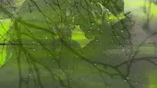 *** ФУТАЖ для ВИДЕО *** осень романтика - 2 ***