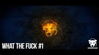 WHAT THE FUCK #1