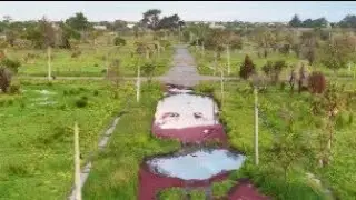 Remembering Bexley - the suburb the quake destroyed