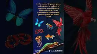 Colors of Biology: Exploring Nature's Palette | Happy Holi from OmicsLogic! #bioinformatics #holi