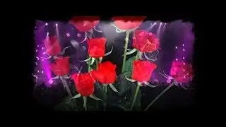 Аллоды - Улица роз.