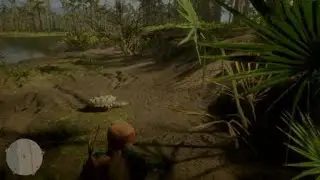 Snapping Turtle in the Bayou