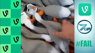 DUCK ARMY I VINE BEATS