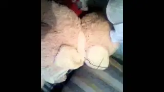 Домосос
