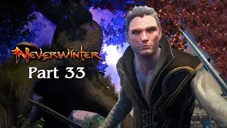 Neverwinter Playthrough | Part 33: The Hero's Path