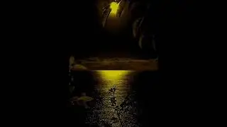 Nocturne