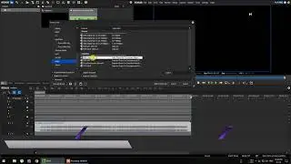 EDIUS AUDIO CONVERT