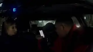 Драка в салоне такси