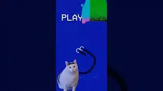 Can you get the... #mem #cat #мем #кот #memes #коты #футажи