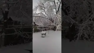 Mi hermana Olivia grabando la nieve atras de su casa en Michigan.