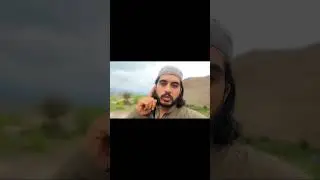Pashto Poetry | Pashto Shairona| #shorts #youtubeshorts #reels #fyp #foryou #poetry #pashtopoetry
