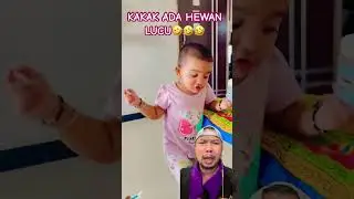 KAKAK ADA HEWAN LUCU MAU LEWAT!!!?? 
