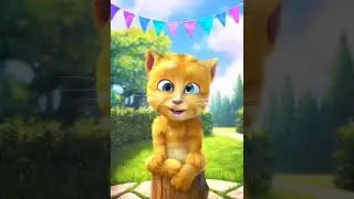 Untitled video