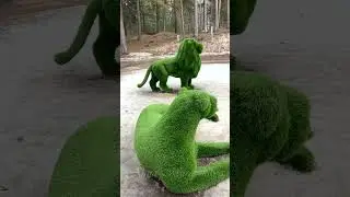 ЗЕЛЕНЫЕ СКУЛЬПТУРЫ  /  GREEN SCULPTURES