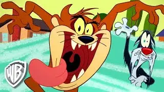 Looney Tunes en Latino | 