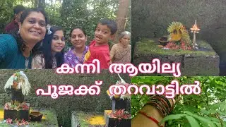 കന്നിമാസത്തിലെ ആയില്യം പൂജ തറവാട്ടിൽ | | kappayum burgerum | vlog | palakkad