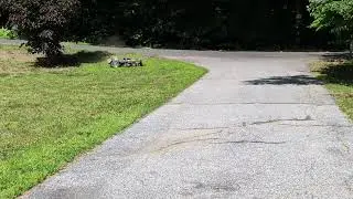 Autonomous Mower First Waypoint Mission