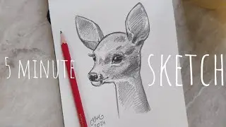 5 minute sketch - a fawn - real time, ASMR