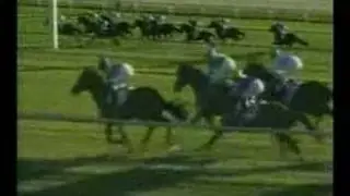 Aussie Rules- 2006 Shadwell Turf Mile