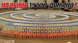 Падение 15000 домино!