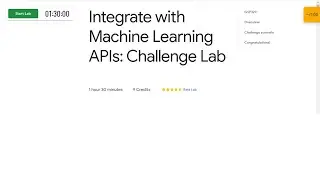 Integrate with Machine Learning APIs: Challenge Lab