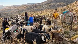 🏔️ Nomadic Migration | An Iranian Family’s Great Journey Through the Zagros Mountains 🐑🔥