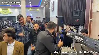 Romi Herki Dawata Harkiya shaqlawa NEW