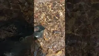 Море
