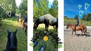 VLOG Z KONÍ🌿🌼 w/@Janouskova.j , Barča , Johanka