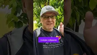 Контроль и забота: в чем разница? 