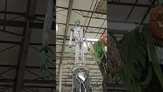 HALLOWEEN COSTCO DISNEY