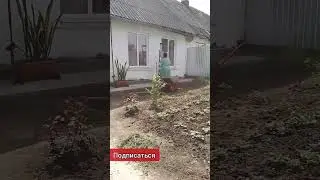 домик в деревне #домиквдеревне