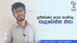 ප්‍රතික්ෂේප කරන තැන්වල පැළවෙන්න එපා.