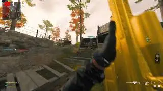 MW3  stream