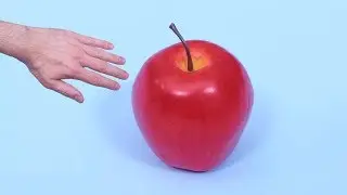 BIGGEST FRUIT EVER!