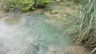 Kroatija (kelionė): kriokliai ir ežerai (1 d.) Nacionalinis parkas